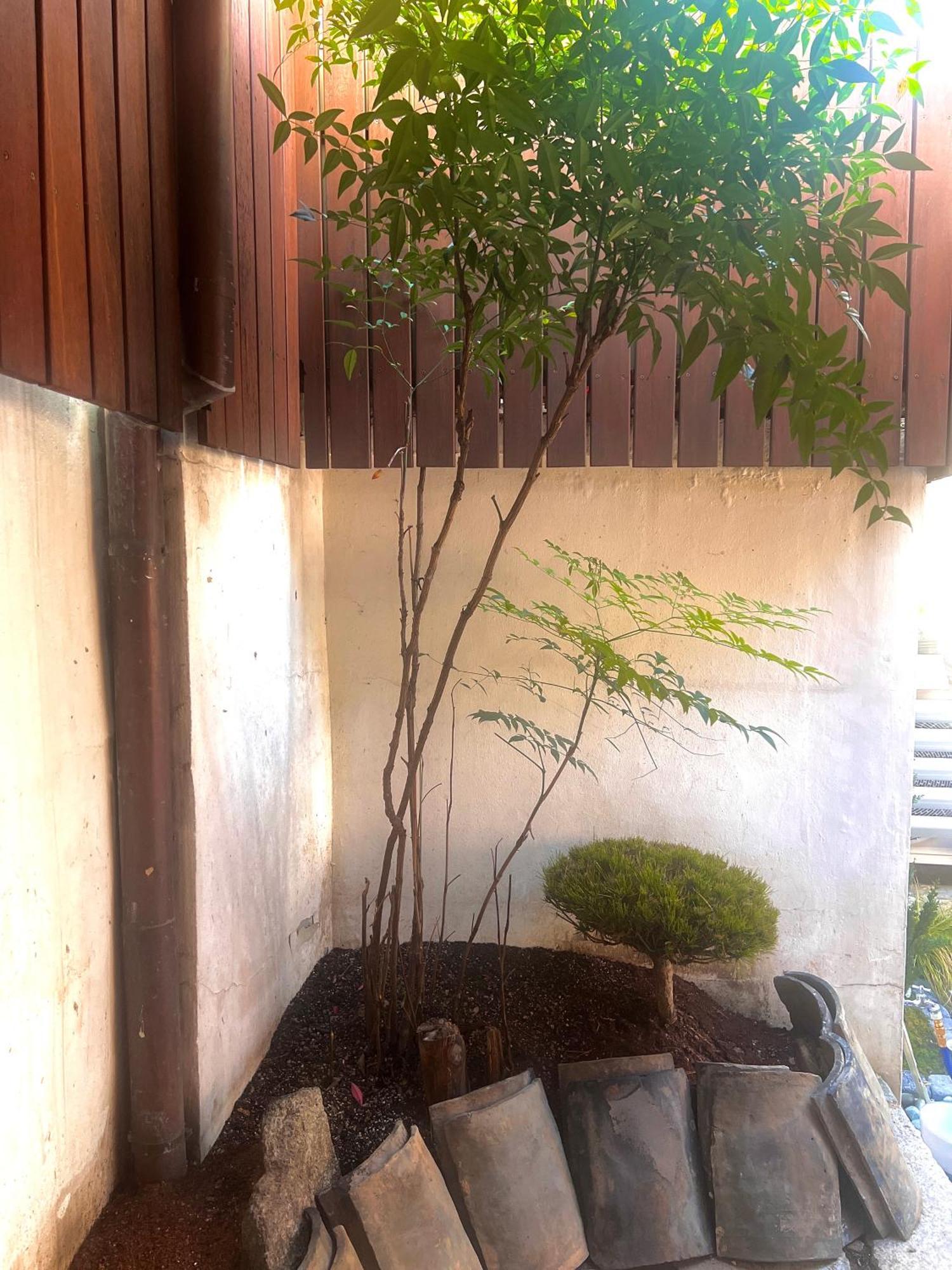 A Traditional Korean House With A Yard *
